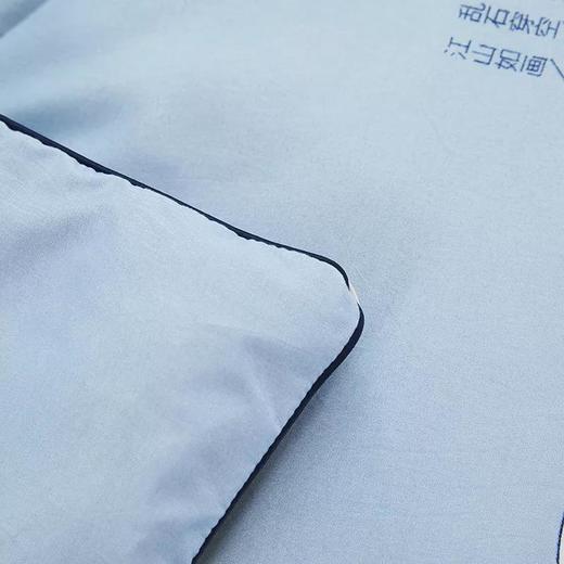 喜芙妮 阳离子抗菌被 XF-B2101 商品图3