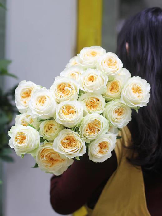 【周四秒杀】温柔奶油杯10枝49.8元 商品图0