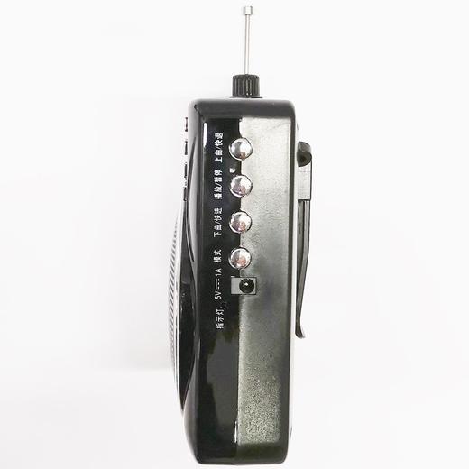 小蜜蜂扩音器教学腰挂收音机插卡音响箱 插卡插优盘 商品图5
