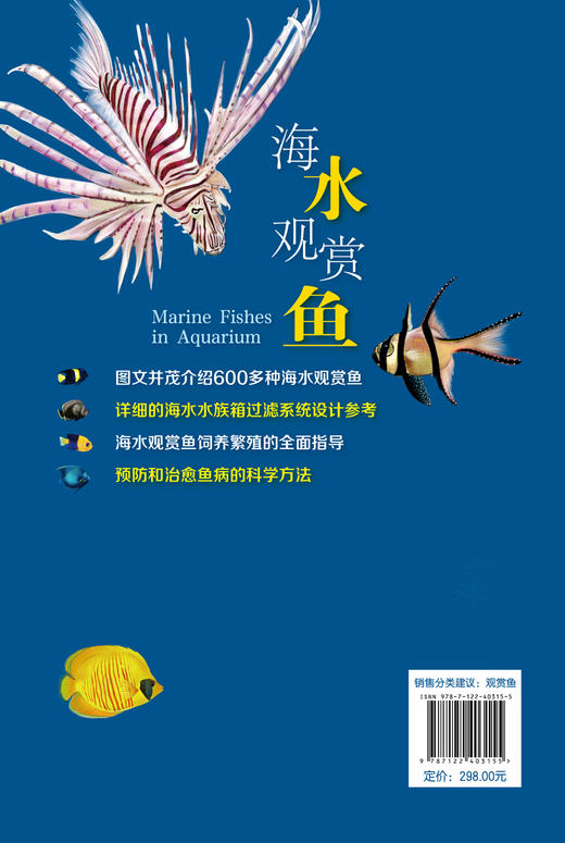 海水观赏鱼 商品图1