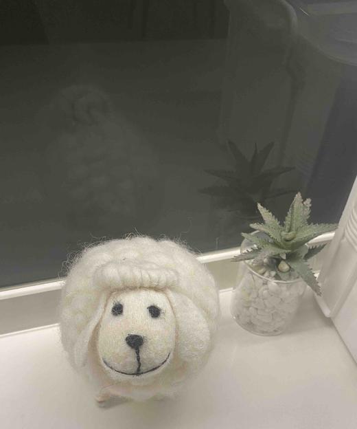 品牌闪购美美测试1111 商品图0