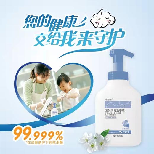 【NB】绿新素泡沫消毒洗手液500ml/瓶 商品图1