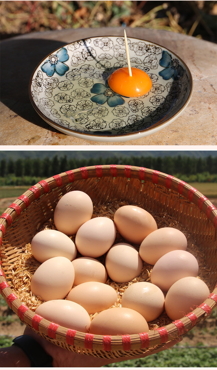 【宝宝辅食】散养北京油鸡蛋 卵磷脂含量高 适合做宝宝辅食 包邮 30枚