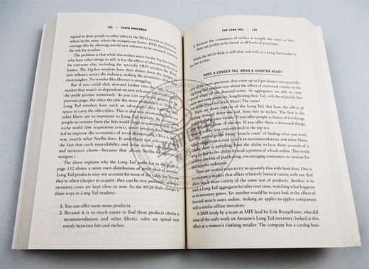 长尾理论 英文原版 The Long Tail 为什么商业的未来是小众市场 经济金融 经管书籍 市场营销 二八定律 克里斯安德森 英文版英语书 商品图2