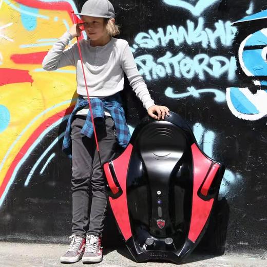 (包邮)rallplay如雷电动车魔鬼鱼W501C（两种颜色） 商品图0