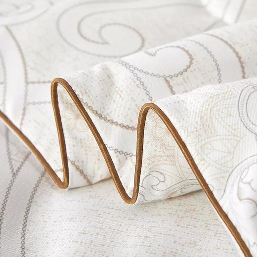 卓凡尼 华伦天奴暖绒棉花被GV2822BZ 商品图4