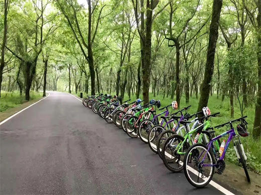 【延庆骑行1日】妫水河骑行｜北京十佳骑行线路-官厅水库库滨带30公里休闲骑游｜一路春风拂面 商品图6