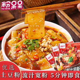 粉呆呆流汁宽粉 甘肃特产定西大宽土豆粉麻辣速食带调料包