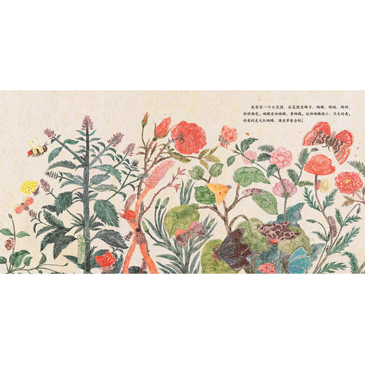 【官方直营】祖父的园子 精装绘本 2021博洛尼亚插画展入选画家龚燕翎童心演绎萧红《呼兰河传》中的经典片段 6-8岁 魔法象 商品图4