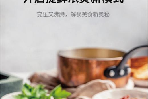 九阳SNY-50IHS10电压力锅 商品图3