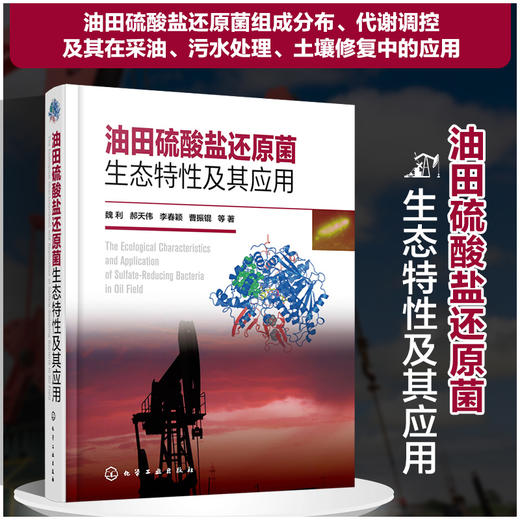油田硫酸盐还原菌生态特性及其应用 商品图0
