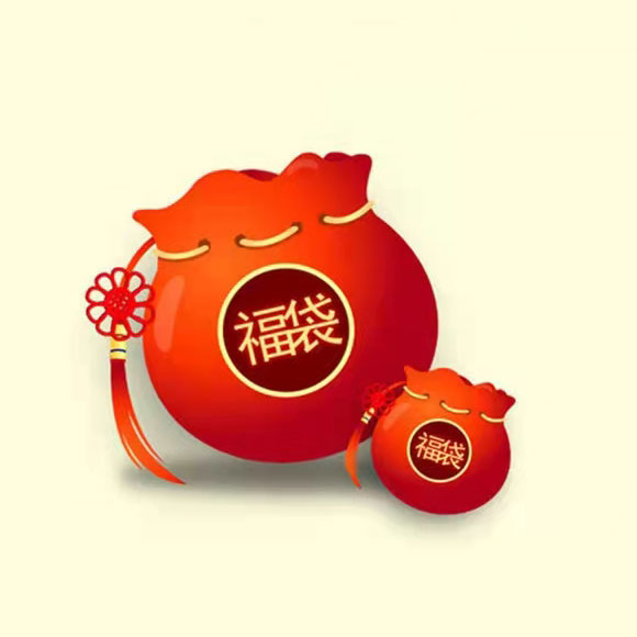 福袋（德国防飞沫口罩）