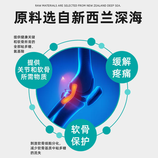 萨沙 宠物鲨鱼软骨素关节灵胶囊营养补充剂狗狗髌骨髋关节发育不良 商品图3