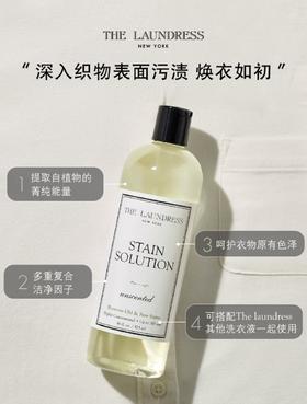 THE LAUNDRESS 衣物去渍清洁液 - 16 fl.oz.