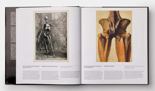 解剖学 探索人体 英文原版 Anatomy Exploring the Human Body 艺术绘画与医学展现 精装 Phaidon 英文版进口英语书籍 商品图2