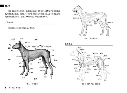 宠物医师临床速查手册 第2版【中国农业出版社官方正品】 商品图1