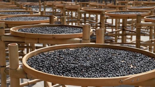 九蒸九晒黑豆，古法九制，道地选材（买两罐送一罐，买五罐送三罐） 商品图8