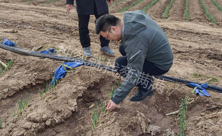 葱满满线下指导