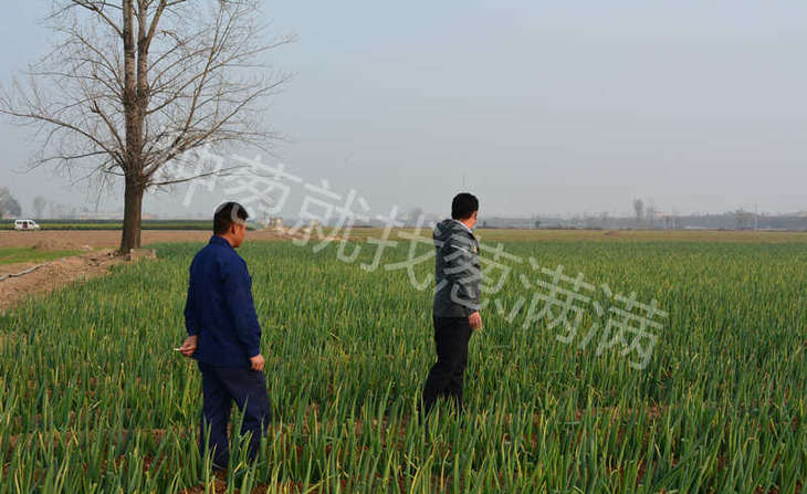 葱满满线下指导葱友