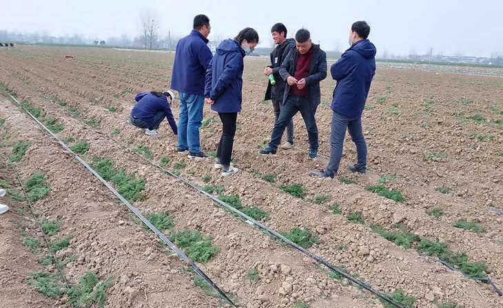 葱满满线下技术指导