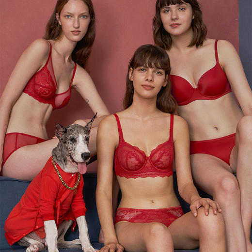 法式内衣女 婚纱·蜜语蕾丝阳台罩杯超薄性感结婚婚纱款上托大胸显小文胸HSIA遐 商品图4