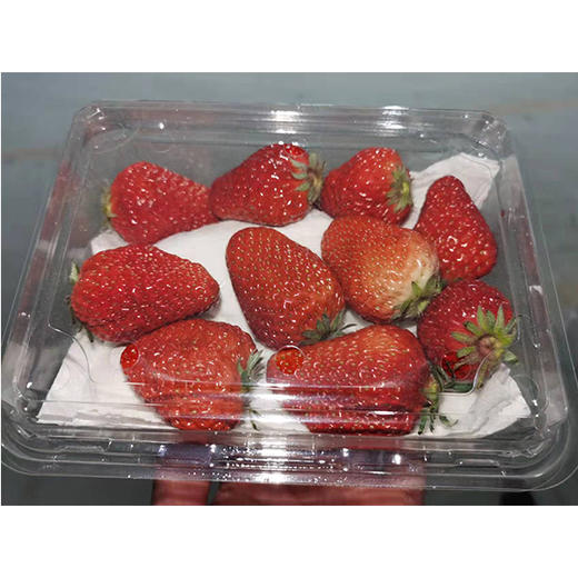 【25.9元2盒】久久奶莓（盒）（1500592） 商品图0