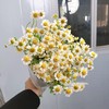 清明节花束 洋甘菊 花 一扎 商品缩略图4