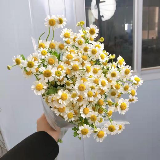 清明节花束 洋甘菊 花 一扎 商品图4