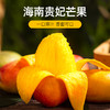 「一口爆汁」海南贵妃芒 净重3斤-9斤装 新鲜多汁 皮薄肉厚 核薄如卡 果香浓郁 口感清甜细腻 商品缩略图0