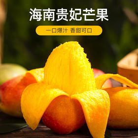 盼了一年的海南贵妃芒，终于来了！咬上一口，鲜甜如蜜！￥29.9/3斤，速抢！