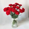 清明节花束 康乃馨 花 一束 商品缩略图2