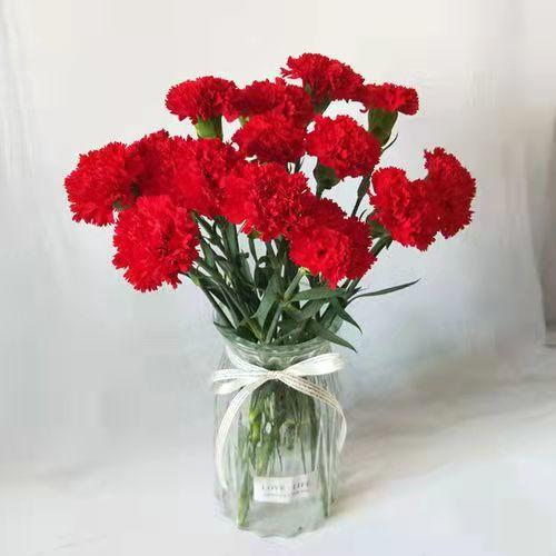 清明节花束 康乃馨 花 一束 商品图2