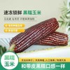 🔥🔥8根仅39.9🌽山西有机黑玉米，有机认证，非转基因，软糯香甜，满满花青素 商品缩略图1
