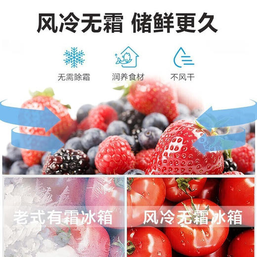【下单前咨询地址库存】海尔 223升变频风冷无霜三门小冰箱 一级能效 干湿分储中门全温区变温DEO净味系统 商品图6