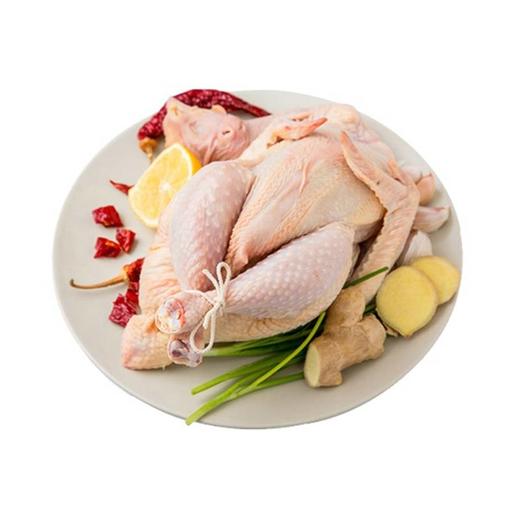 武汉黄陂来仪桥丛林土鸡1.2KG±100G 商品图1