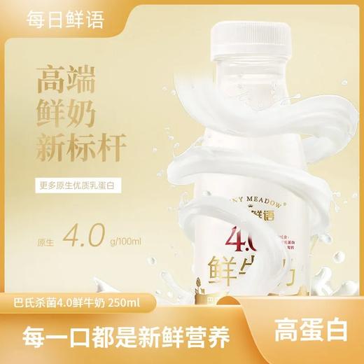 蒙牛每日鲜语4.0鲜奶PET250ML*24瓶 商品图0