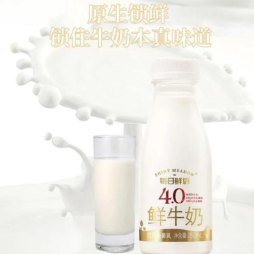 蒙牛每日鲜语4.0鲜奶PET250ML*24瓶 商品图3