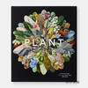 Plant: Exploring the Botanical World/植物：探索植物世界 商品缩略图0