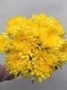 清明节花束 黄菊 白菊 花 一束 商品缩略图1