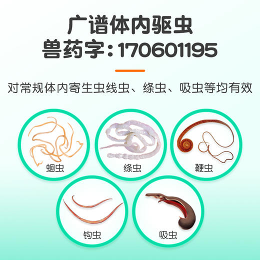 【小宠】 阿苯达唑片50mg/0.2g 8片装 广谱体内除虫打虫 线虫 涤虫 钩虫等 犬猫通用 商品图1