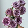肯尼亚Princess kaori考瑞公主玫瑰花12支 商品缩略图2
