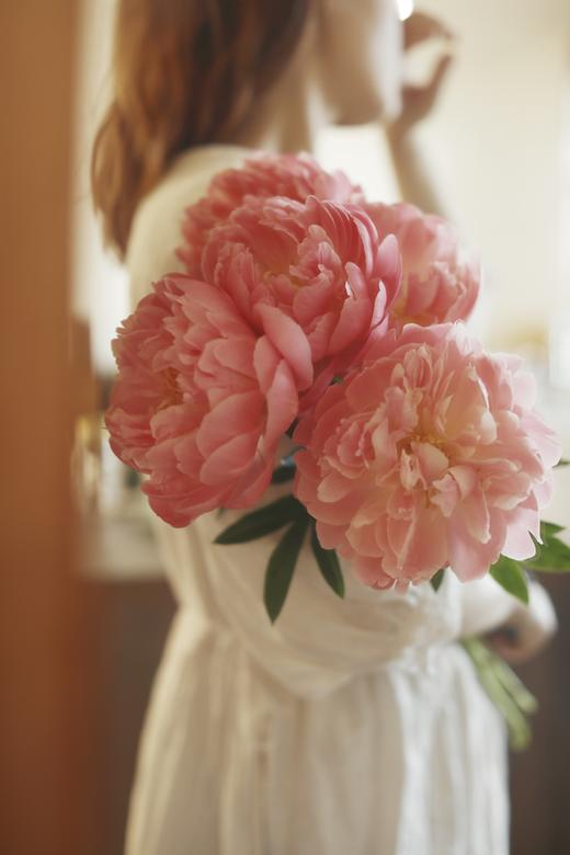 【预售！4.20起陆续发出】珊瑚系列【我想陪你去看第44次日落】 A级“芍药届的爱马仕” 稀有变色芍药 2件包邮 顺丰空运 商品图6