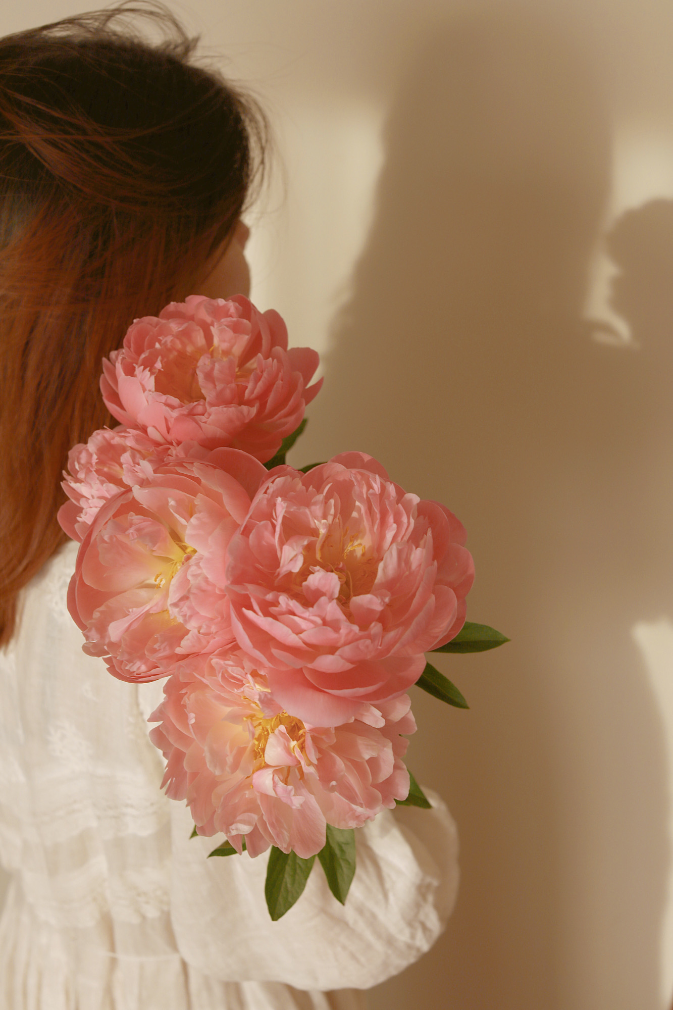 【预售！4.20起陆续发出】珊瑚系列【我想陪你去看第44次日落】 A级“芍药届的爱马仕” 稀有变色芍药 2件包邮 顺丰空运