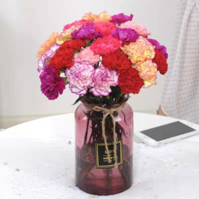 清明节花束 康乃馨 花 一束