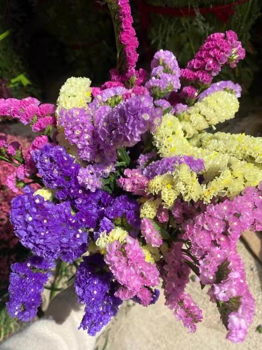 清明节花束 勿忘我 花 一扎 商品图1