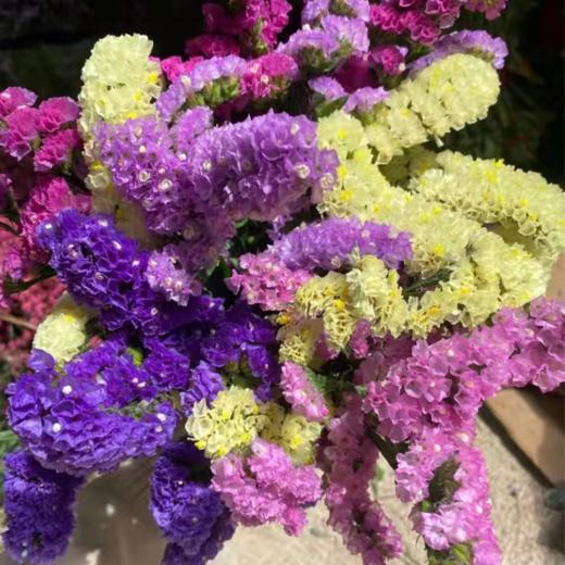 清明节花束 勿忘我 花 一扎 商品图0