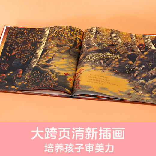 四季之歌系列绘本 小鸿雁的秋天+小熊的春天（共两册） 商品图4