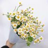 清明节花束 洋甘菊 花 一扎 商品缩略图0