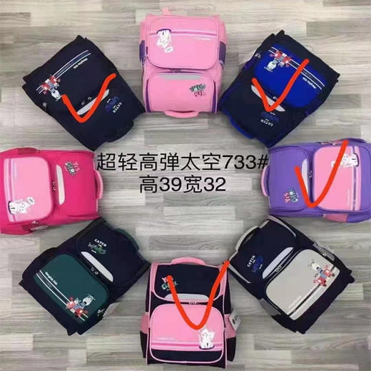 【35元/个】中大童书包（1407195） 商品图0