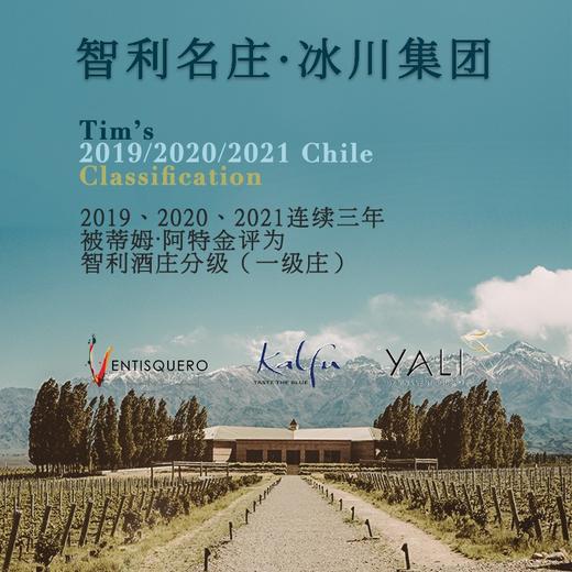 【连续6年荣获智利一级庄！5家米其林餐厅甄选！】候鸟珍藏赤霞珠干红葡萄酒 智利 商品图2